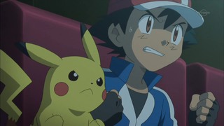 xy (316)