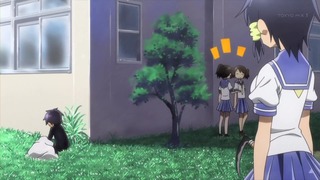 ko (20)