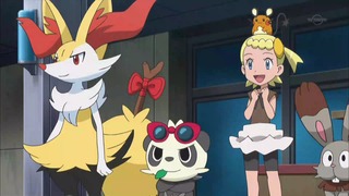 xy (186)