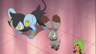 xy53 (69)