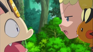 xy (37)