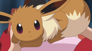 xy (77)
