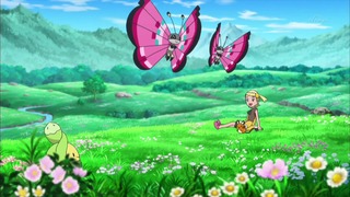 xy (16)
