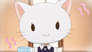 741