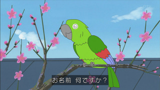 sazae-149