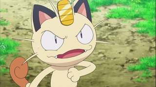 xy (130)