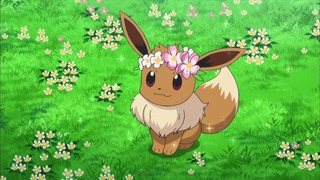 xy (189)