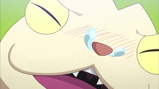 cap (134)