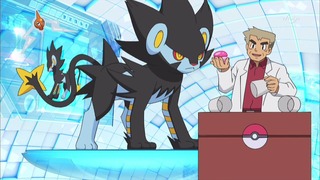 xy (237)