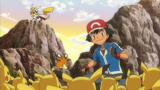 xy (239)