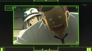 cap (27)