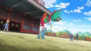xy (44)