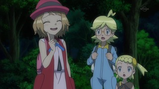 xy (2)