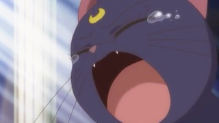 606