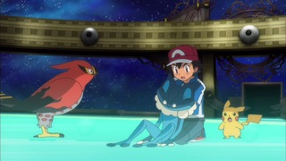 xy (196)