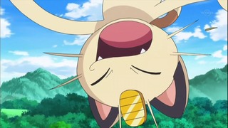 xy (159)