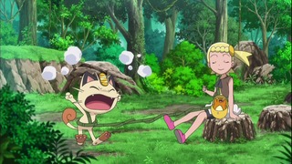 xy (40)