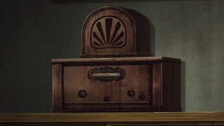 cap (7)
