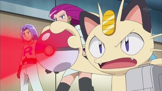 xy (36)