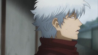 cap (146)