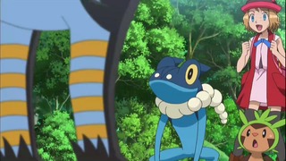xy (88)