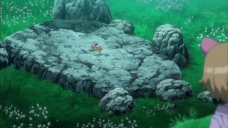xy (113)