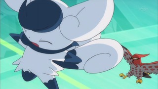 xy (158)