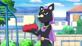 cap (59)