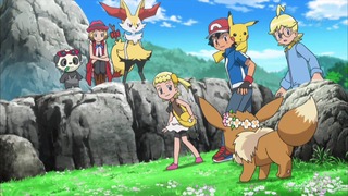 xy (140)