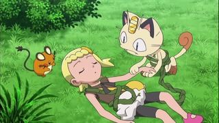 xy (102)