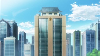 cap (13)