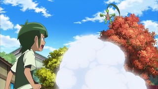 xy (166)