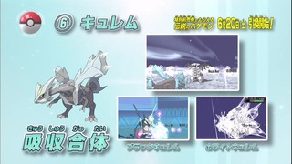 xy (195)