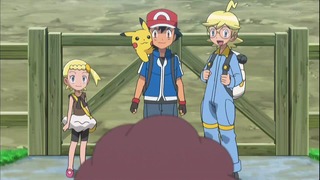 xy53 (22)