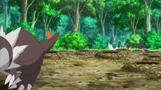 xy (92)