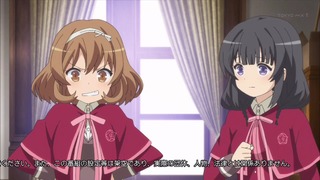 sora9 (7)