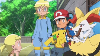 xy (19)