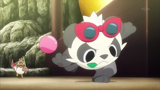 xy (43)