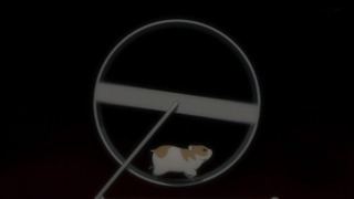 cap (1)