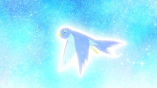 cap (31)