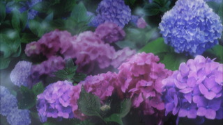 cap (11)