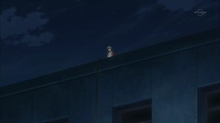 cap (253)