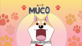muco (1)