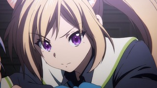 fan-233