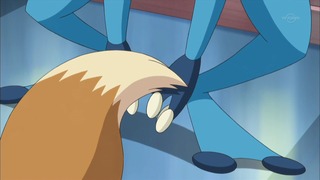 xy (94)