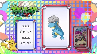 xy (86)