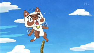 cap (22)