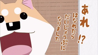 muco (20)
