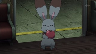 xy (48)