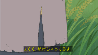 maru-111